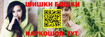 гидра Дмитров