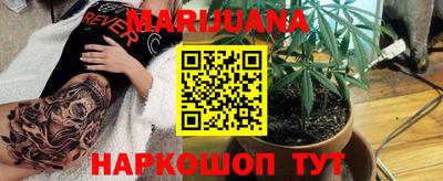 гидра Дмитров