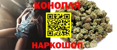 гидра Дмитров